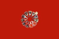 道真县回收红酒